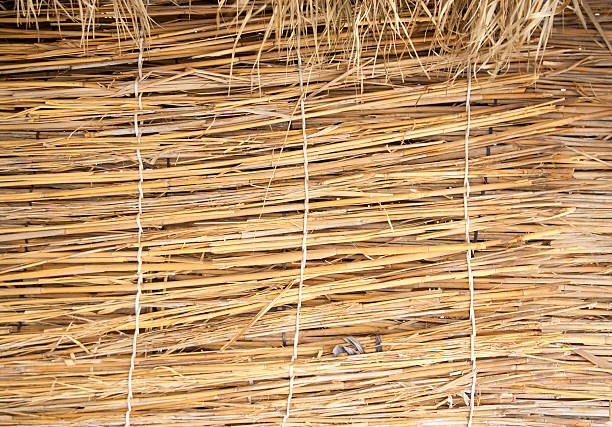 istock Traditional thatched huts wall in the desert 496605476