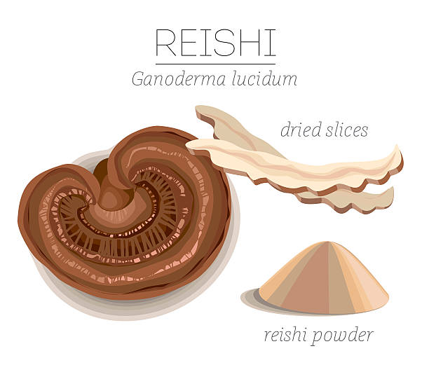 superfood 영지 - anticancer stock illustrations