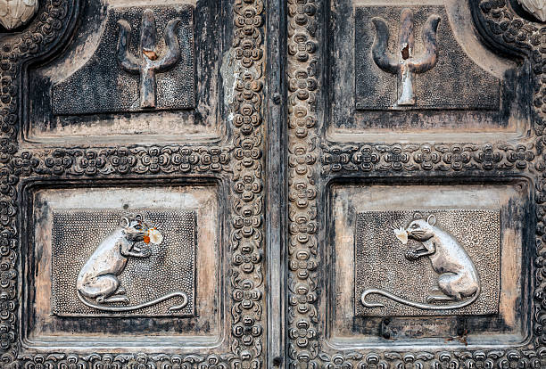 karni mata temple deshnoke rajasthan, inde - rat race photos et images de collection