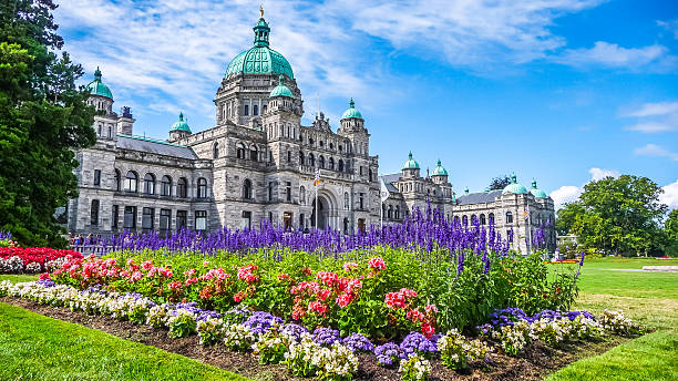 Historic parliament building in Victoria with colorful flowers, BC, Canada Beautiful view of historic parliament building in the citycenter of Victoria with colorful flowers on a sunny day, Vancouver Island, British Columbia, Canada vancouver island photos stock pictures, royalty-free photos & images