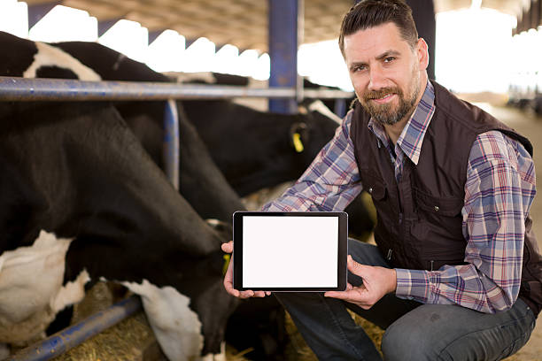 Young Farmer and Digital Tablet Young farmer showing tablet. beef cattle feeding stock pictures, royalty-free photos & images