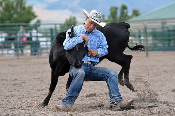 istock Cowboy Wrestling a Steer 496610292