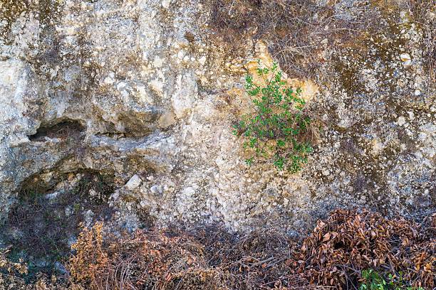 istock abstract background of an old sandy wall 496612040