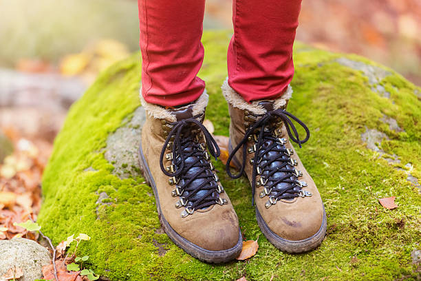 istock Legs of a woman in forest 496613184