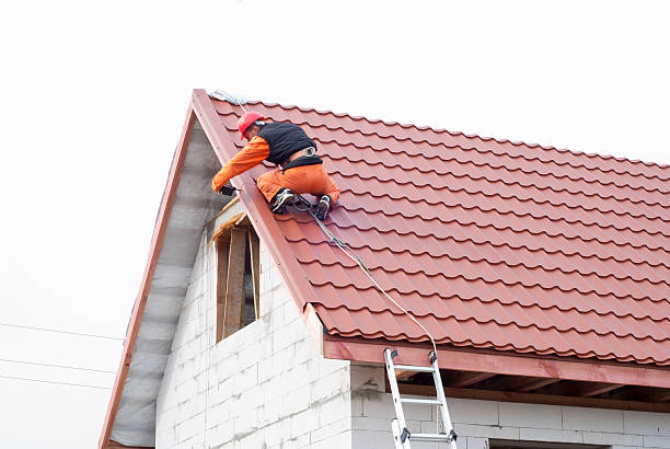 istock installation of a roof 496613426