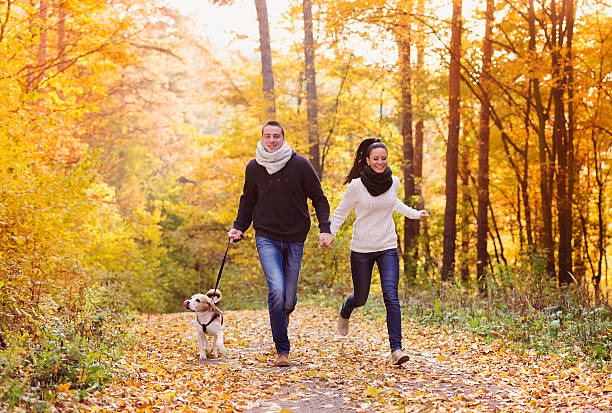 istock Beautiful couple in nature 496614422
