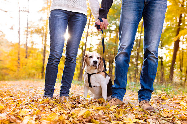 istock Beautiful couple in nature 496614466