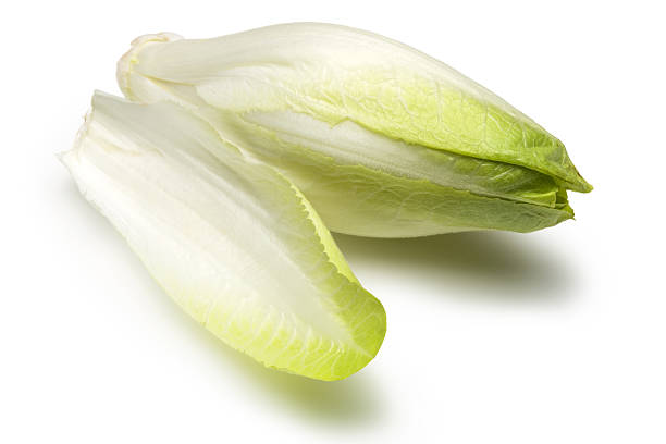 Fresh endive Fresh endive over white background. chicory stock pictures, royalty-free photos & images