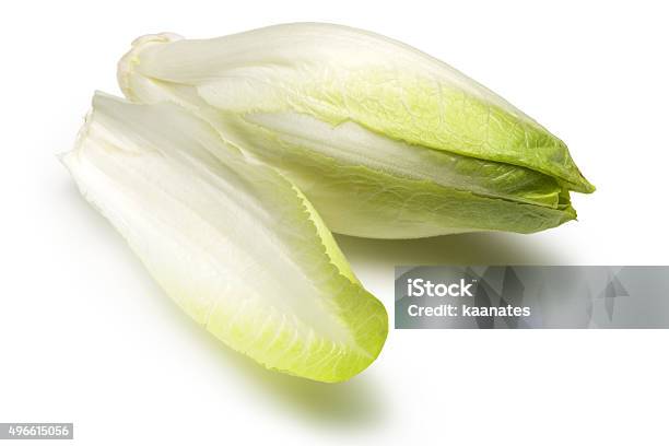Fresh Endive Stock Photo - Download Image Now - Endive, Chicory, White Background