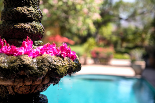 Old fountain with swimming pool in background and flower pedals