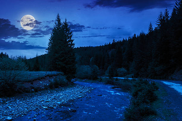 istock road near the forest river at night 496623013