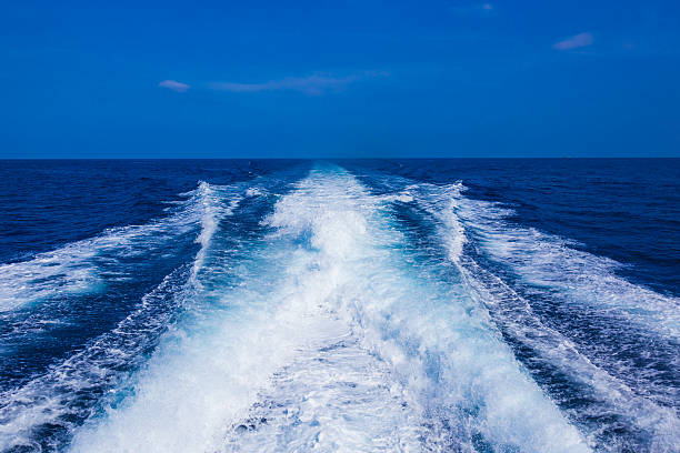 istock The sea and the waves 496623641