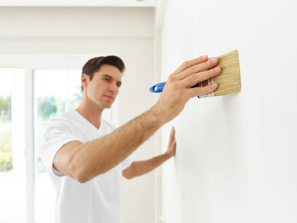 istock Man painting wall with a brush 496627302
