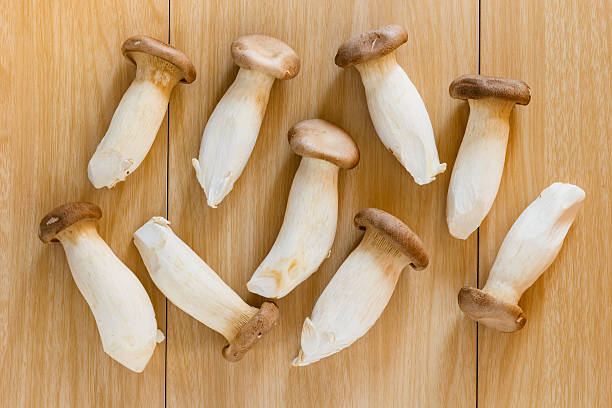 Pleurotus eryngii mushroom