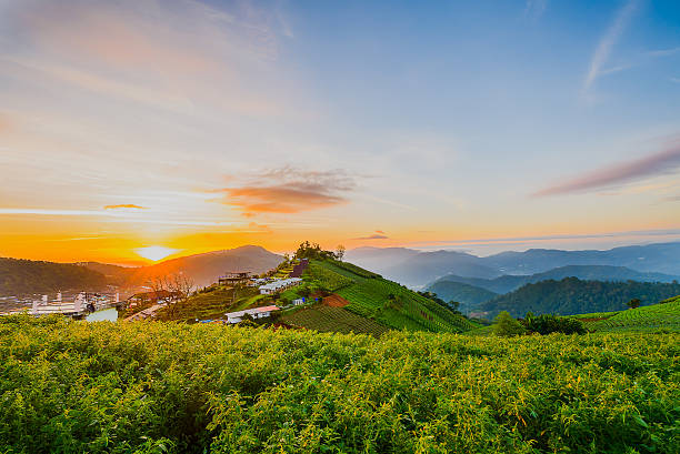 istock Country mountain and sunrise 496628024