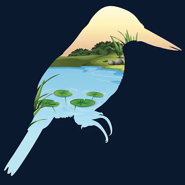 Vector illustration of Save wildlife theme with bird and pond