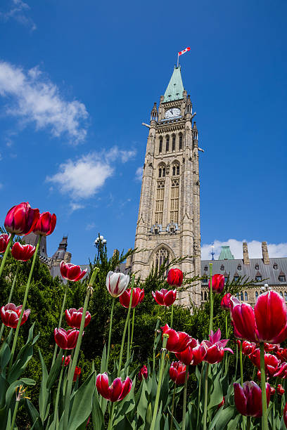 istock Peace Tower and Parliament Building 496631138