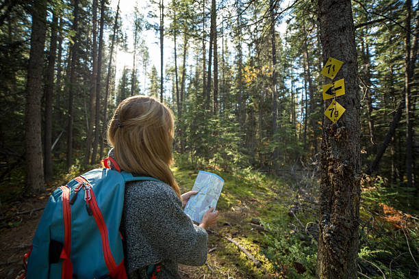 istock Young woman hiking in forest looking for directions on map. 496634076