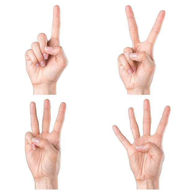 istock Collage of woman hands on white backgrounds 496635436