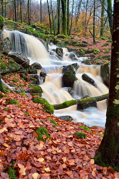 istock Small Scottish waterfall on a stream photographed in late autumn 496635740