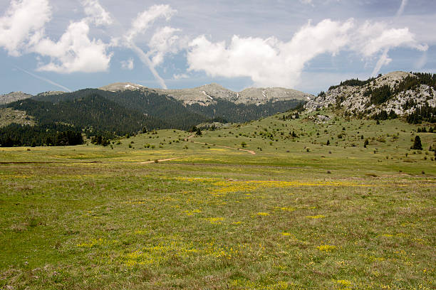 Oiti Mountain Meadows stock photo