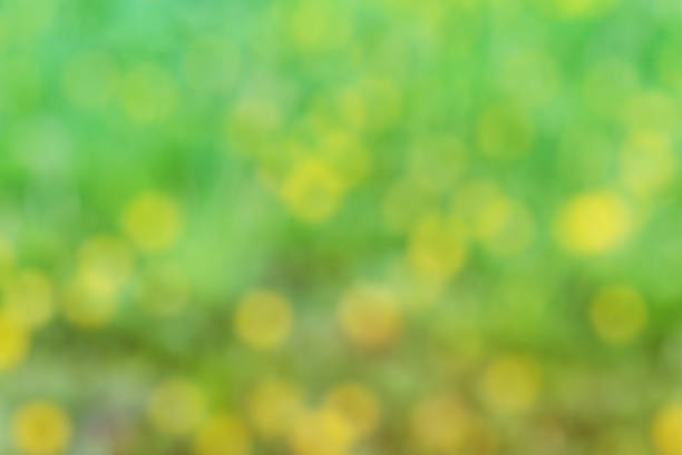 istock Blurred background with grass and yellow flowers 496637424