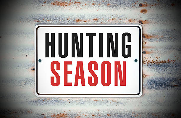 istock Hunting Season 496638378