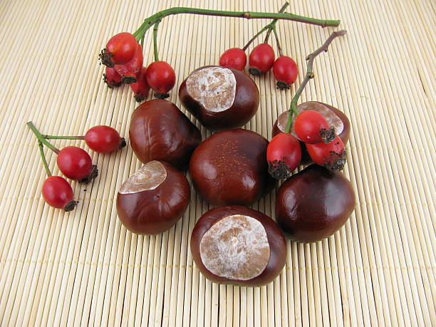 istock Autumn fruits 496639640