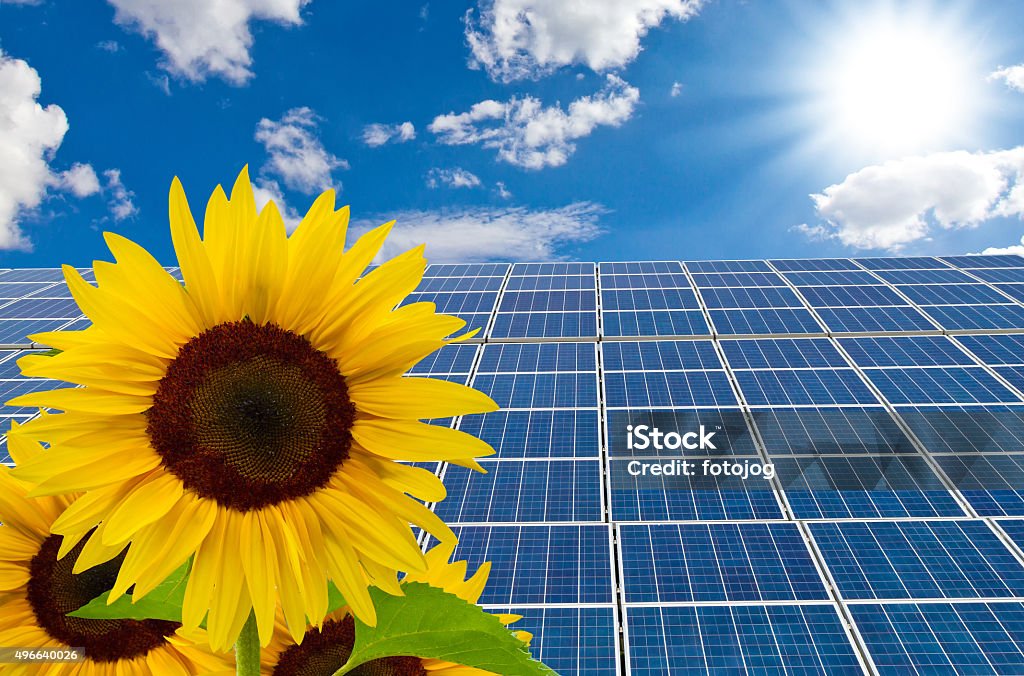 Solarcells with sunflowers Solarcells with sunflowers, in background blue sky with bright sun Solar Panel Stock Photo