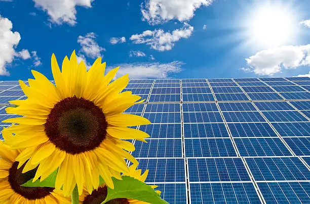 Solarcells with sunflowers, in background blue sky with bright sun