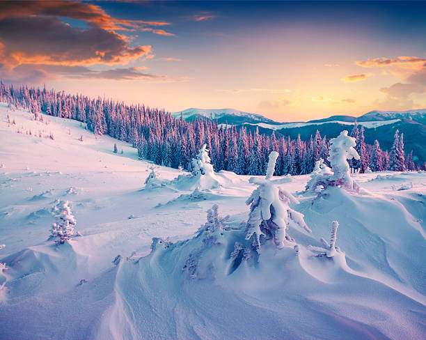 istock Colorful winter sunrise in the mountains. 496640360