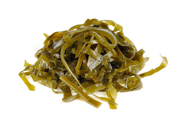 istock Kelp (Laminaria) Seaweed Isolated on White Background 496640436