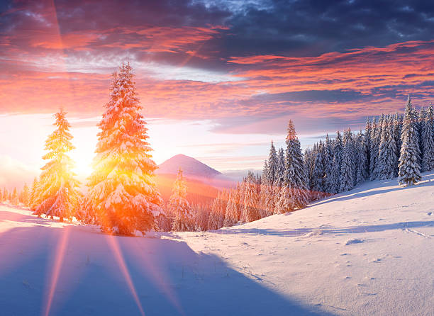 Winter morning in the mountains stock photo