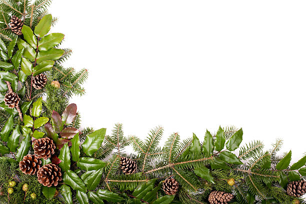 istock Christmas frame of pine tree branches - isolated on white 496640864