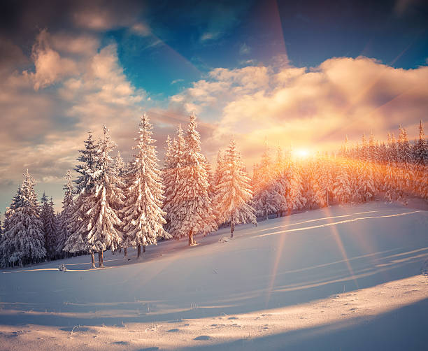 istock Colorful winter sunrise in the mountains. 496640964