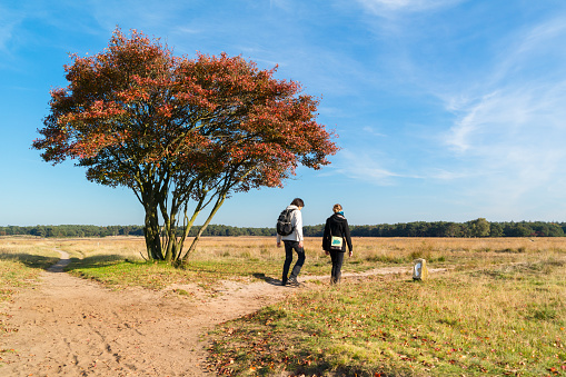 Hilversum, Netherlands - October 11, 2015: People walking on footpath over heathland in autumn, Netherlands