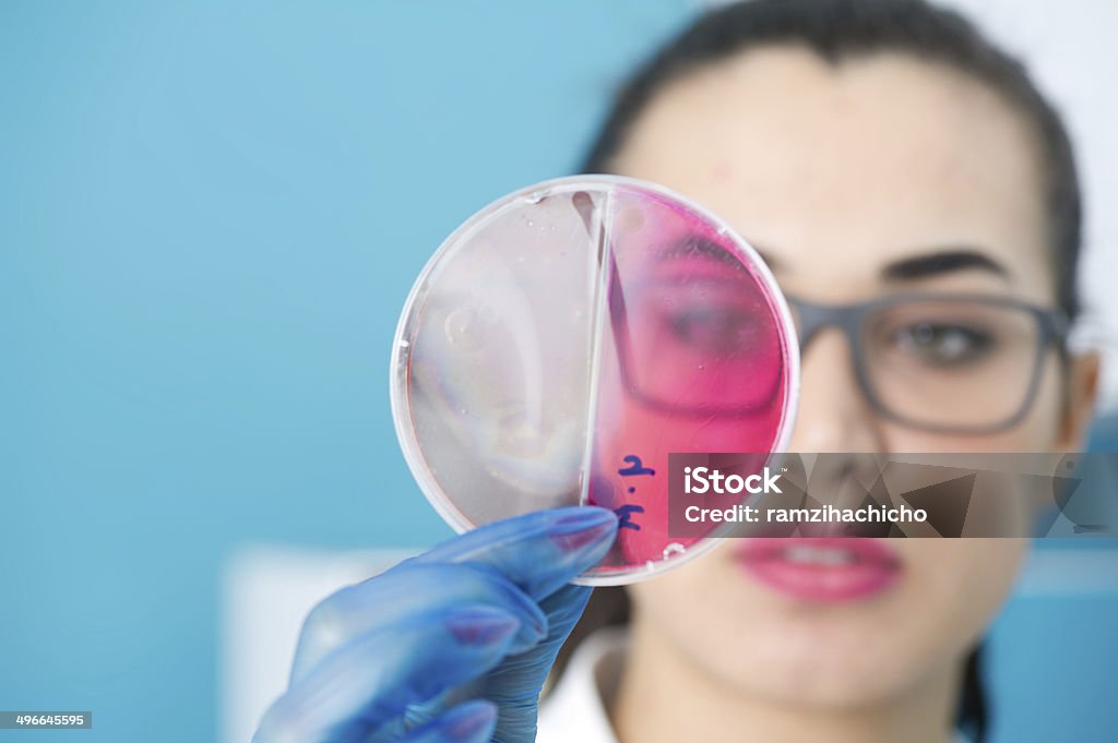 Giovane affascinante Assistente di laboratorio controllo Piastra petri - Foto stock royalty-free di Accudire