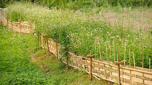 istock Grassland in the countryside 496645693