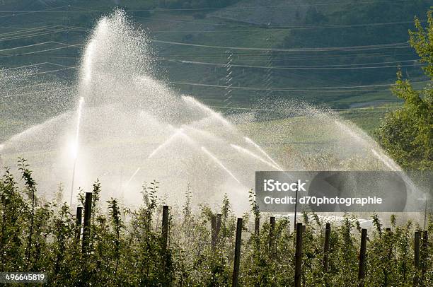 Arrosage Stockfoto und mehr Bilder von Bewässern - Bewässern, Bewässerungsanlage, Feld