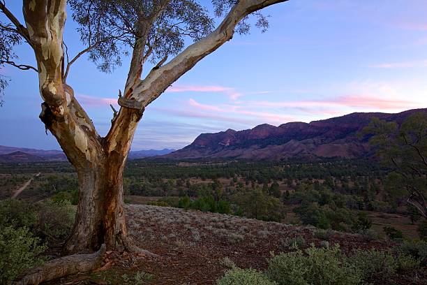 Sunset Flinders Ranges National Park stock photo