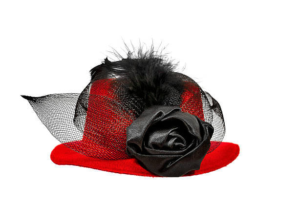 istock Vintage red  lady's hat with  black feathers 496647817