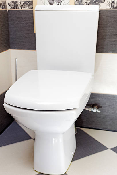 istock Interior of a typical water-closet. 496647887