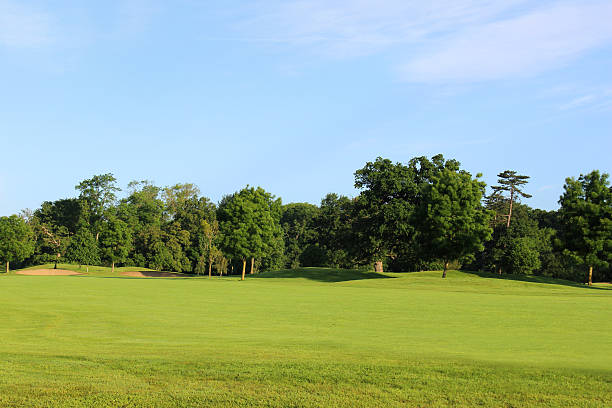 istock Golf course with green grass, trees, sandy bunkers, hazards, sky 496648579