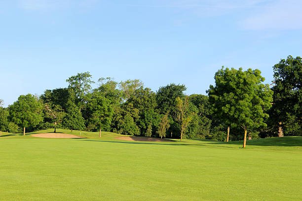 istock Golf course with green grass, trees, sandy bunkers, hazards, sky 496648581