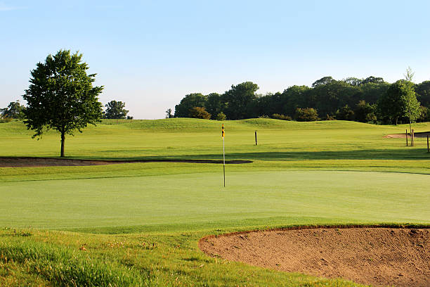 istock Golf course with sandy bunker trap, trees and putting green 496649169