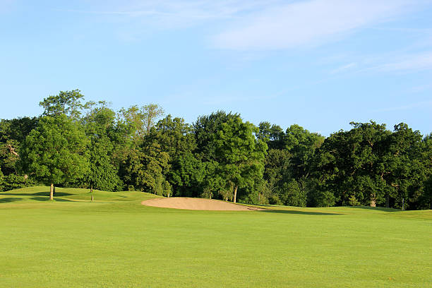 istock Golf course with green grass, trees, sandy bunkers, hazards, sky 496649171