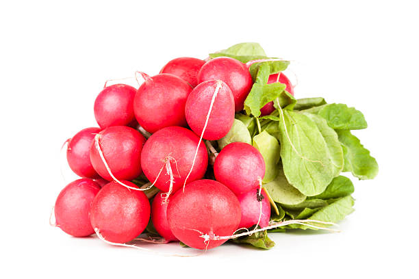 istock Pile of garden radish 496649185