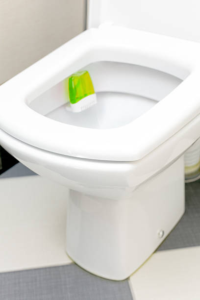 istock Interior of a typical water-closet. 496650799