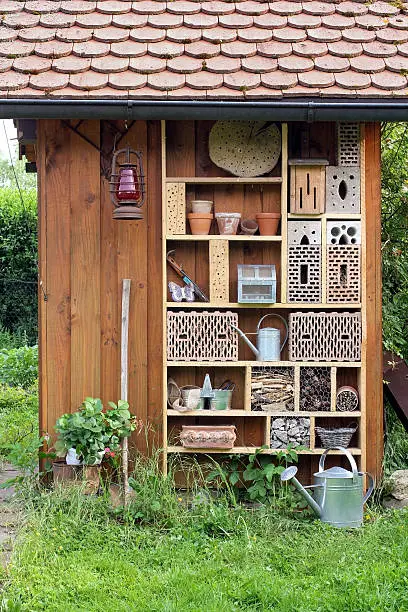 Tool shed in the garden with hotel for insects and garden utensils.