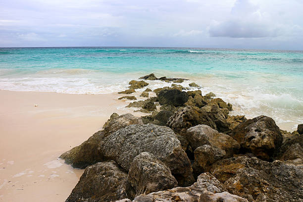 istock Vacation background. Amazing paradise beach, Barbados,Caribbean. 496651731